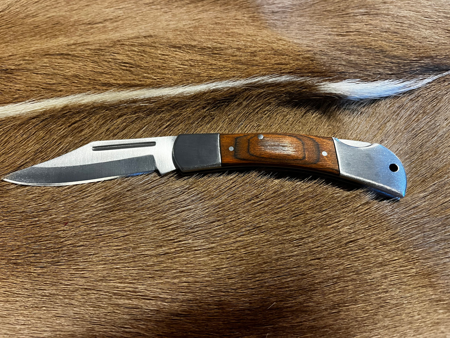 Rite Edge Lockback