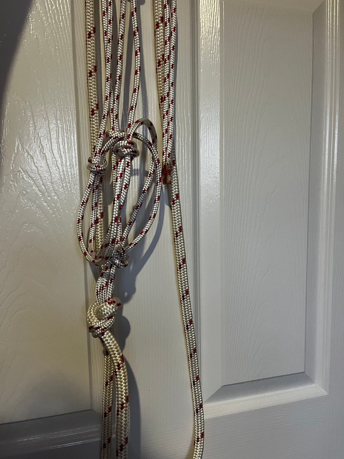 8mm Halter and Lead