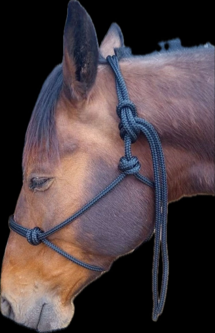 8mm Halter and Lead