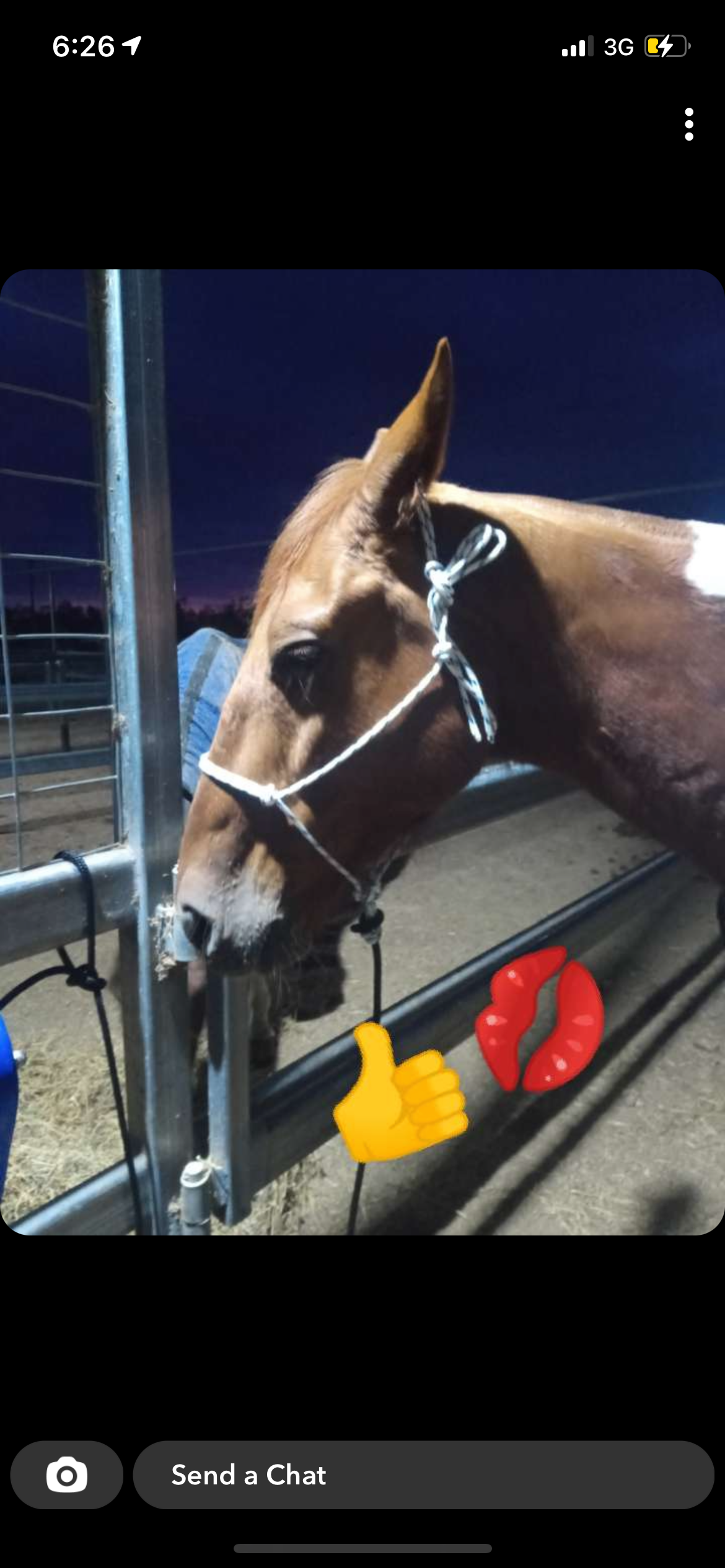 8mm Halter and Lead