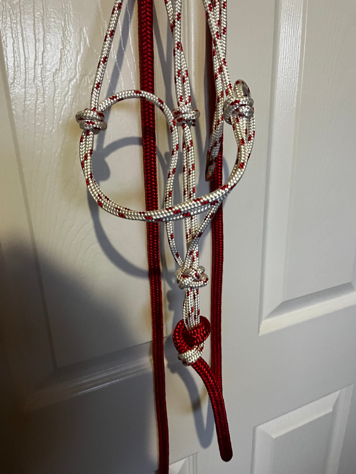 8mm Halter and Lead