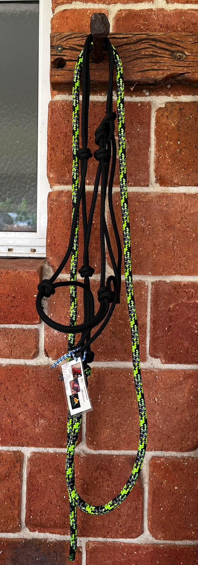6mm Halter and lead