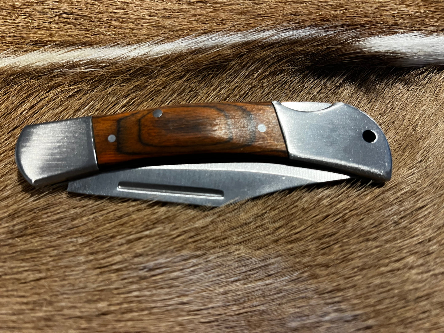 Rite Edge Lockback