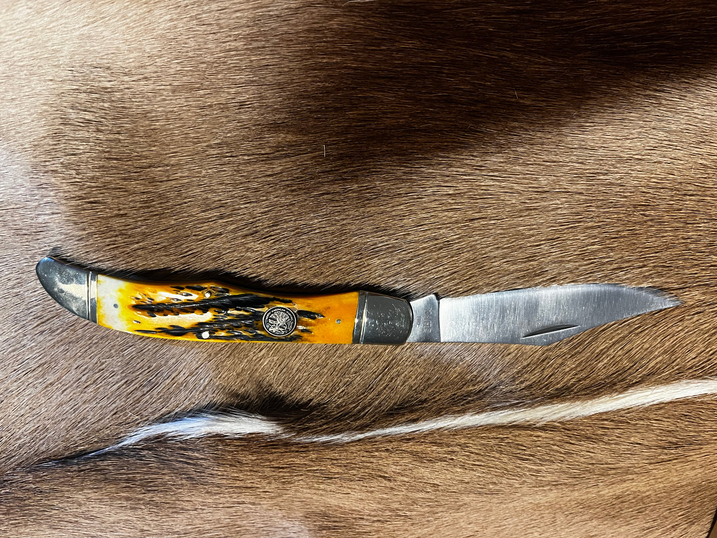 Bone Folding Knife