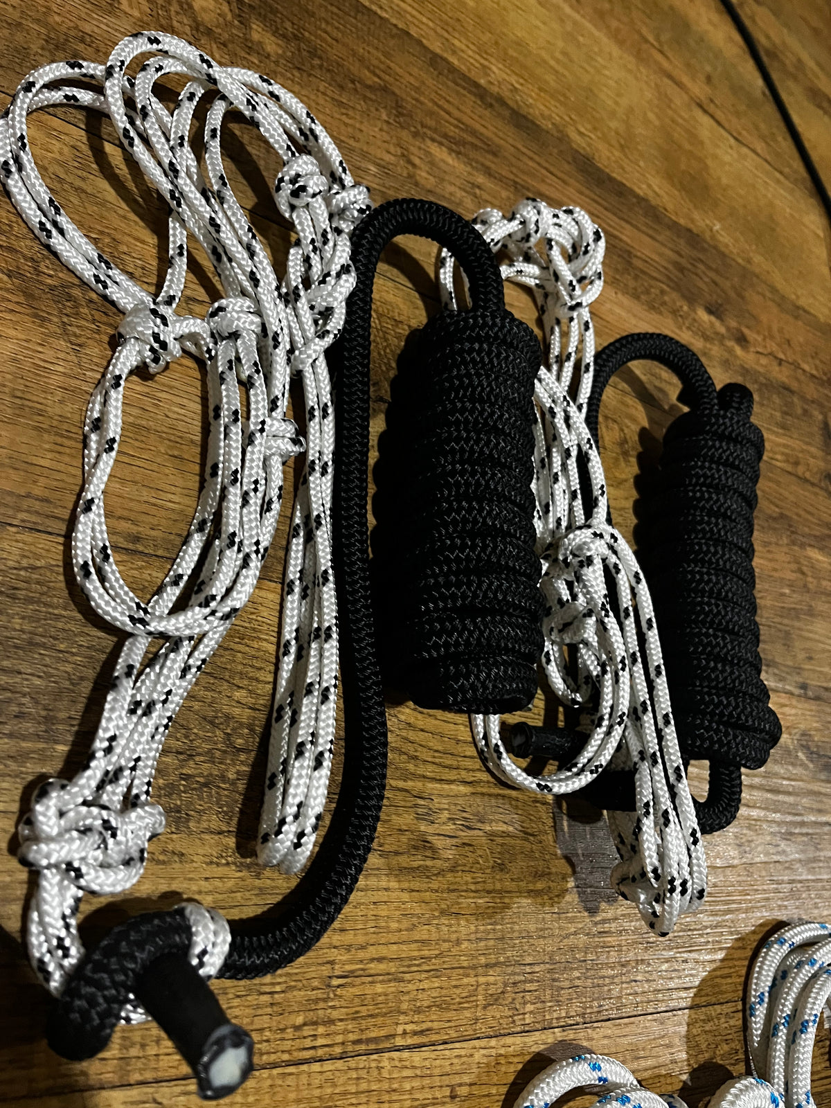 8mm Halter and Lead